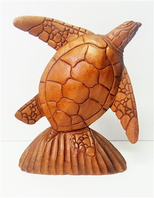 Turtle Wood Display