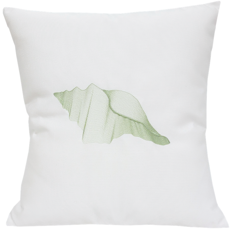Conch Shell in Pale Green on White