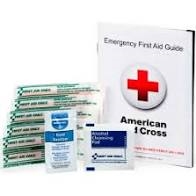 First Aid Only FAE-6017 First Aid Guide