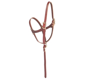 Leather Figure 8 Foal Halter for Sale!