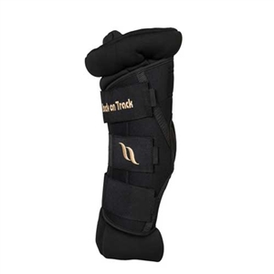 Back On Track Therapeutic Padded Royal Hock Boots For Sale!