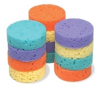 Small Round Tack Sponge For Sale!