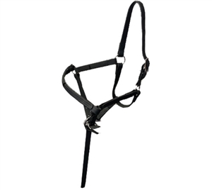 Beta Biothane Foal Halter for Sale!