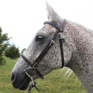 Beta Biothane English Bridle for Sale!