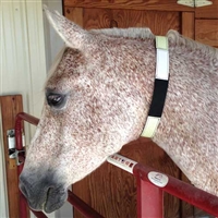 Glo Flex Safety Collar for Your Horse