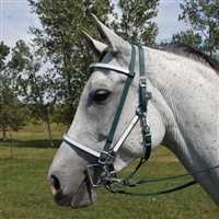 Halter with Removable Brow Band & Add-On Headstall for Sale!