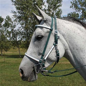 Halter with Removable Brow Band & Add-On Headstall for Sale!