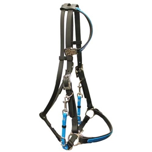 One Ear Halter Bridle For Sale!