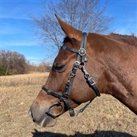 Silver and Black Floral Traditional Trail Halter Bridle for sale