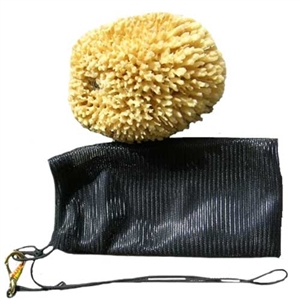 Natural Sea Sponge in a Bag for Sale!