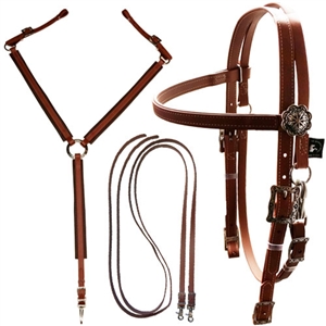 Western Designed Bridle, Reins & Breast Collar Set for Sale!