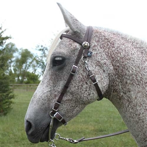 Western Bridle / Racing Bridle for Sale!