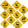12"x12" Yellow Sign- Horse Designs For Sale!
