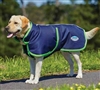 WeatherBeeta Parka 1200D Deluxe Dog Coat- Navy/Lime For Sale!