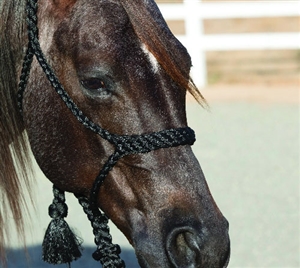 Professional's Choice Cowboy Braided Rope Halter & 10 Foot Lead for Sale!