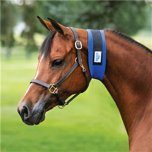 Superior Narrow Throat Sweat Giving your horse the help he needs to achieving the perfect throatlatch has never been easier. Designed from super stretchy, lightweight neoprene (3mm thick) to conform to the throatlatch area.