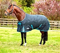 Weatherbeeta Comfitec Premier Free Standard Neck Medium- Black/Turquoise-84" ONLY- CLOSE OUT