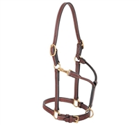 3/4" Double Buckle Halter For Sale!