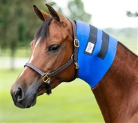 Superior Throat Latch Sweat Help show off your horses perfect throat latch with the superior throat latch sweat from Dura-Tech. Designed from a super stretchy, lightweight neoprene to conform to the throat latch area and is safe for overnight use.
