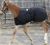 Expandable Foal Stable Blanket for Sale