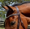 Dy'on V Shaped Browband
