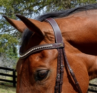 Dy'on V Shaped Browband