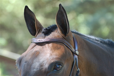 Dy'on V Lace Browband