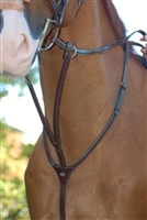 Fancy Running Martingale