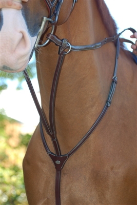 Fancy Running Martingale