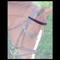 Fancy Browband