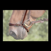 Dy'on Drop Noseband