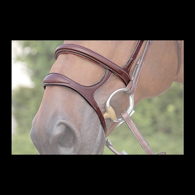 Double Noseband