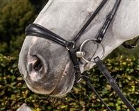 Dy'on Dressage Drop Noseband