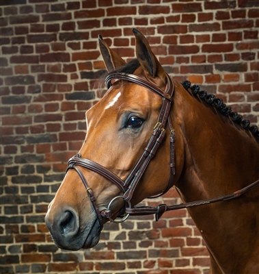 Dy'on Fancy Flash Noseband Bridle Brass Fittings