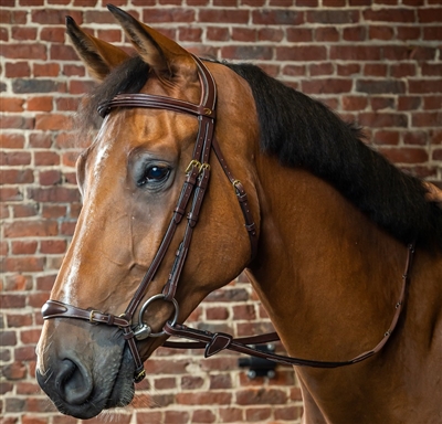 Dy'on Collection Drop Noseband Bridle