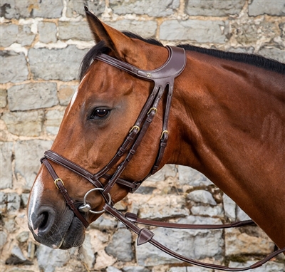 Difference Collection Flash noseband bridle
