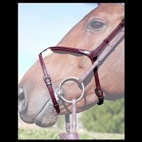 New English Collection Fig8 Noseband