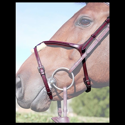 New English Collection Fig8 Noseband