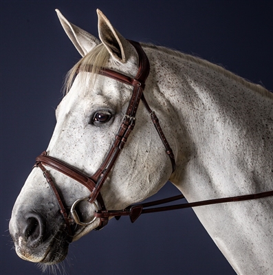 New English Collection Flash Bridle