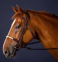 Dy'on Rope Noseband Bridle
