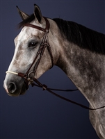 Dy'on Drop Rope Noseband Bridle