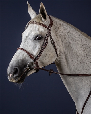 Dy'on Leather Covered Rope Noseband Bridle