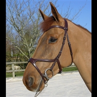 XFit Bridle