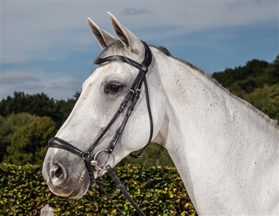 Dressage Collection Flat Leather Drop Noseband Bridle