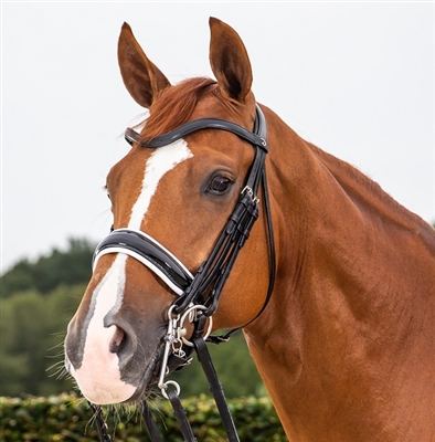 Dressage Collection flat leather large crank noseband double bridle