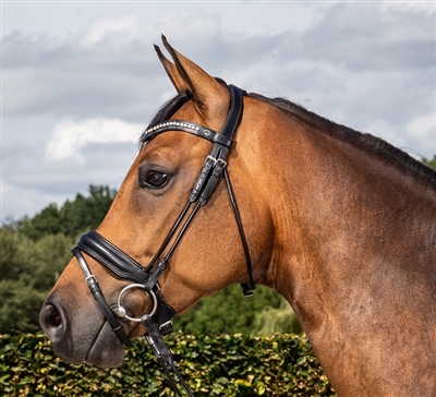 Dressage Collection Rolled Medium Crank Noseband With Flash