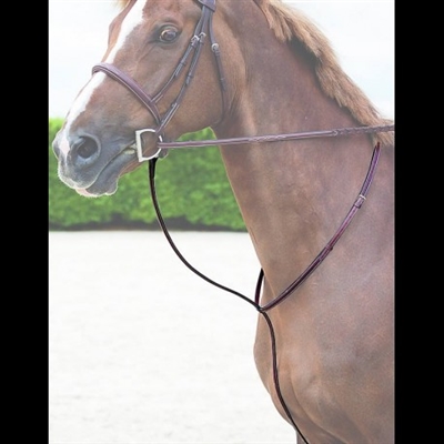 Standing Martingale