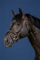 Dy'on Fancy Flash Noseband Bridle Steel Fittings