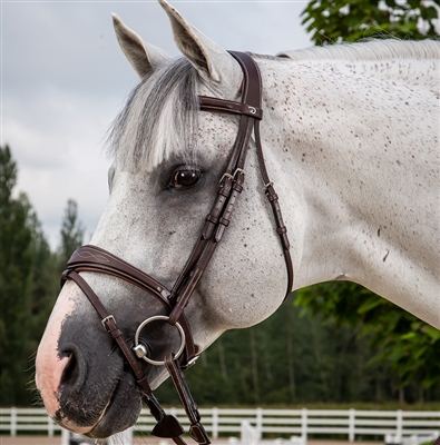 Dy'on Anatomic Flash Noseband Bridle Steel