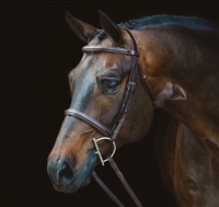 Hunter Collection Bridle Anatomic